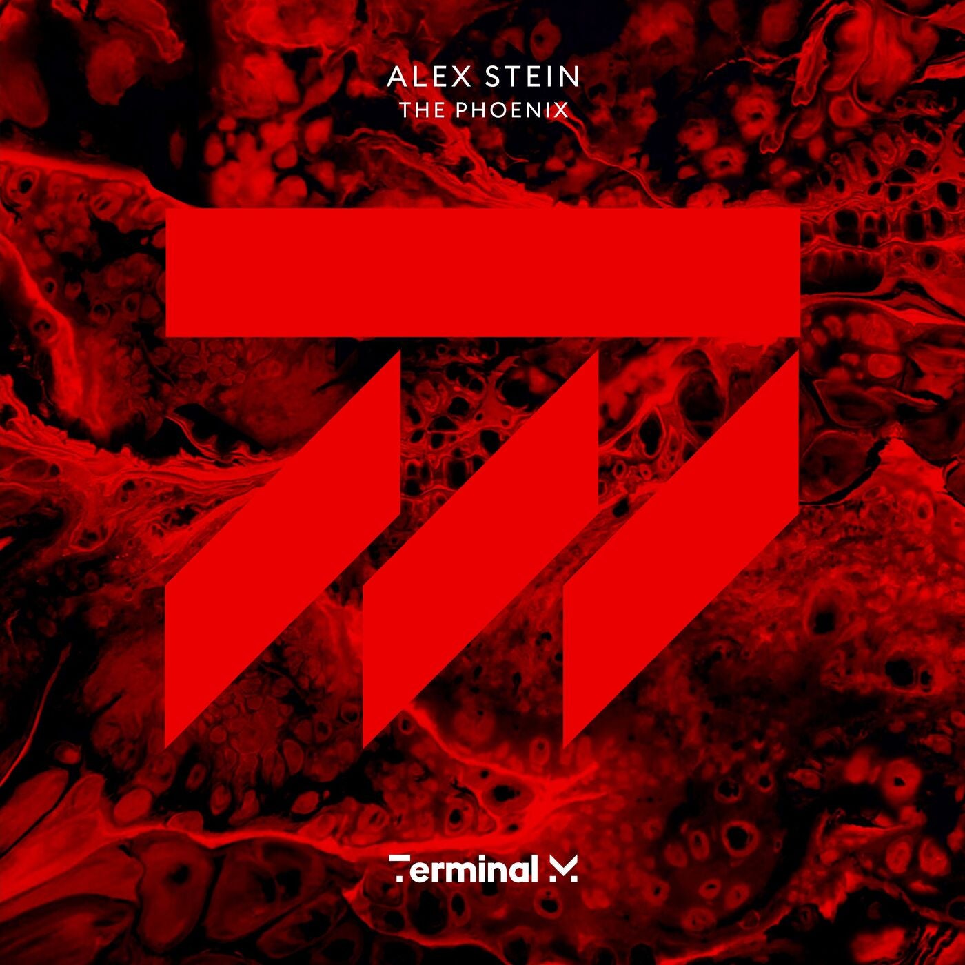 Alex Stein – The Phoenix [TERM200]